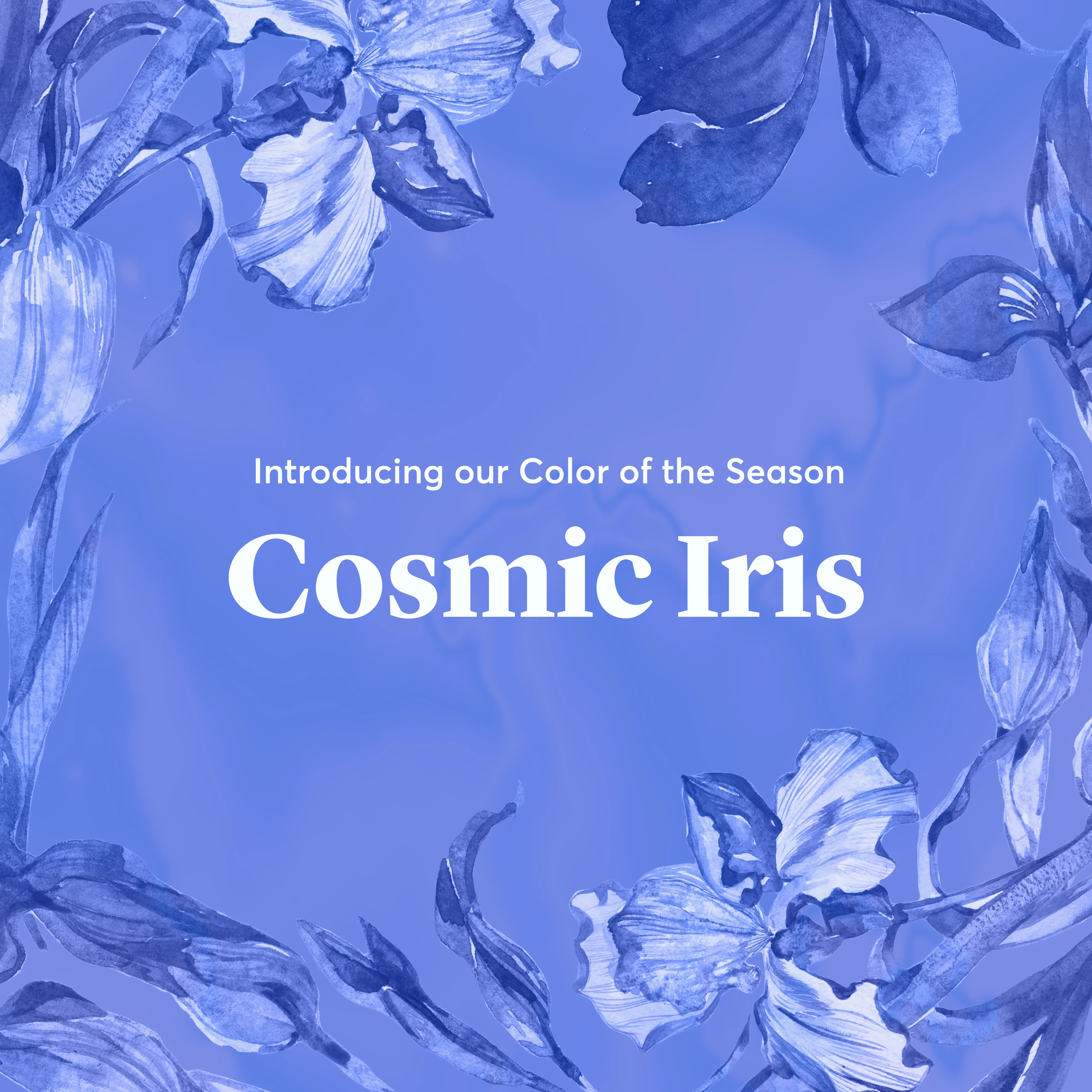 Creative Market Cosmic Iris