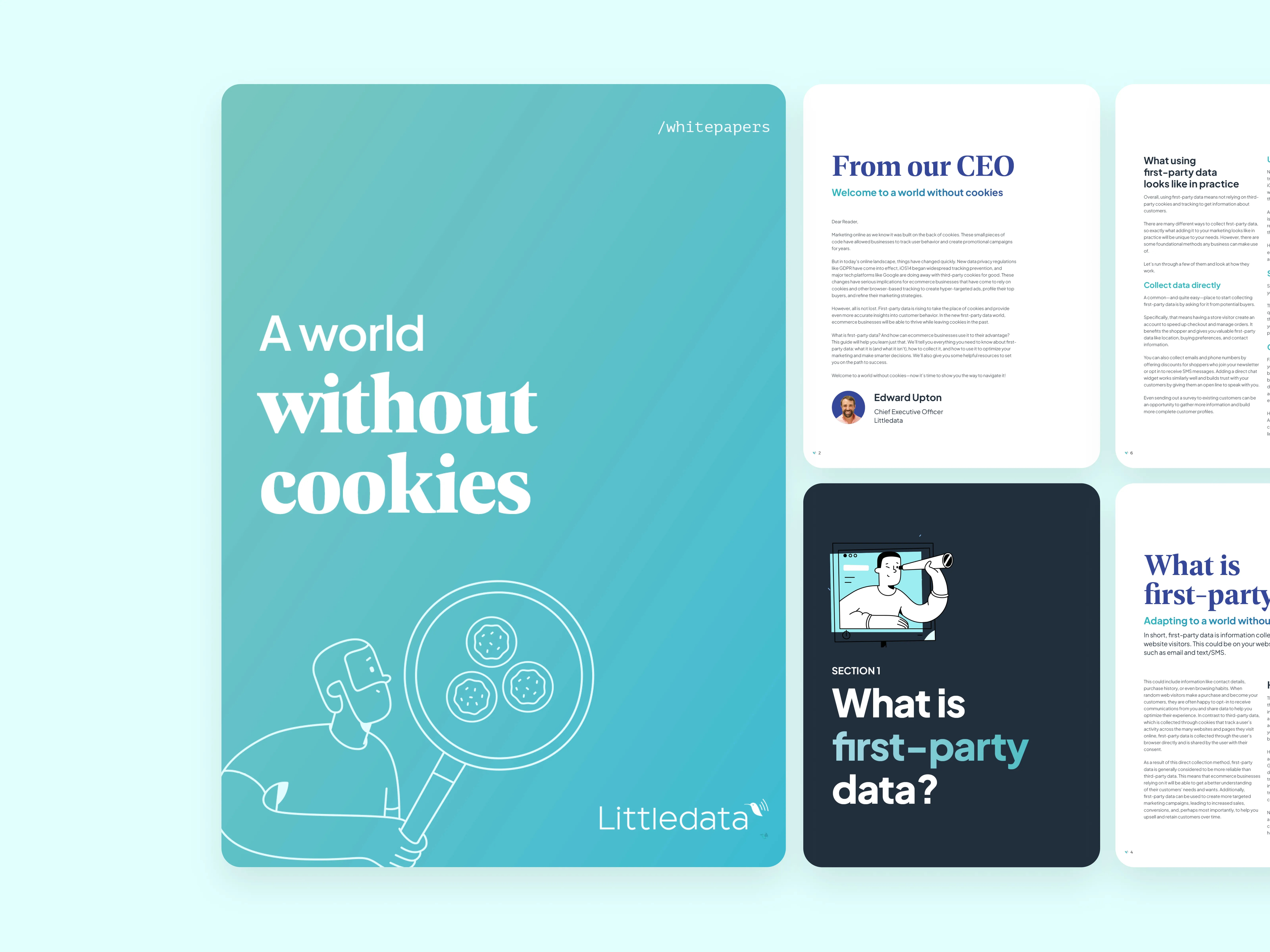 Littledata pricing page